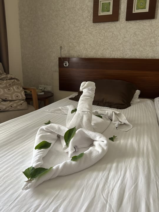 Zimmer Side Star Beach