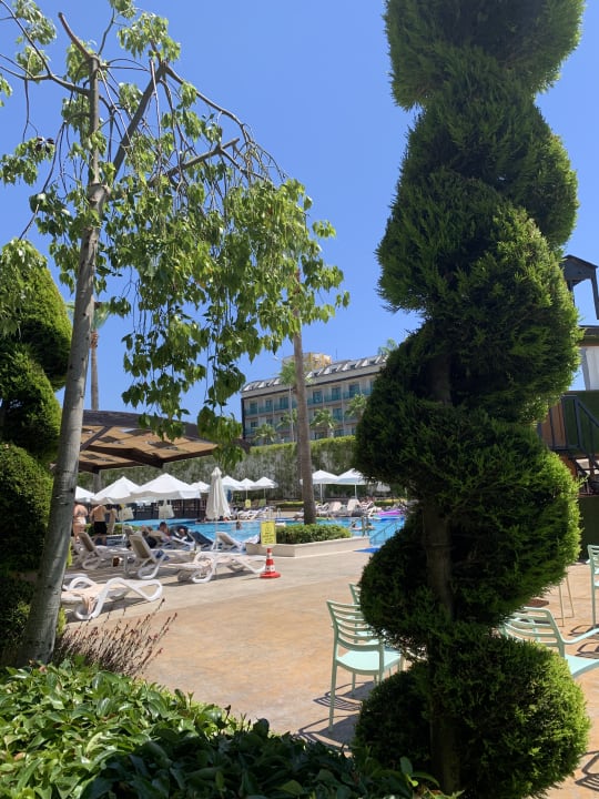 Pool Mary Hotel Side