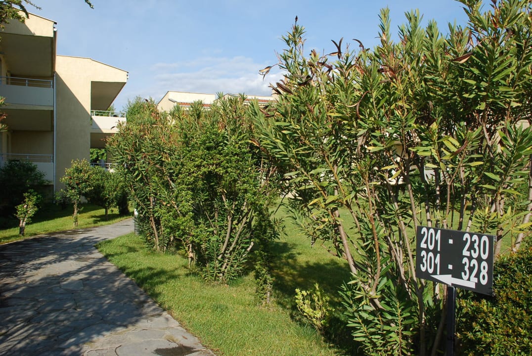 Dojście do pokoju alltoura Club Hotel Poseidon Palace