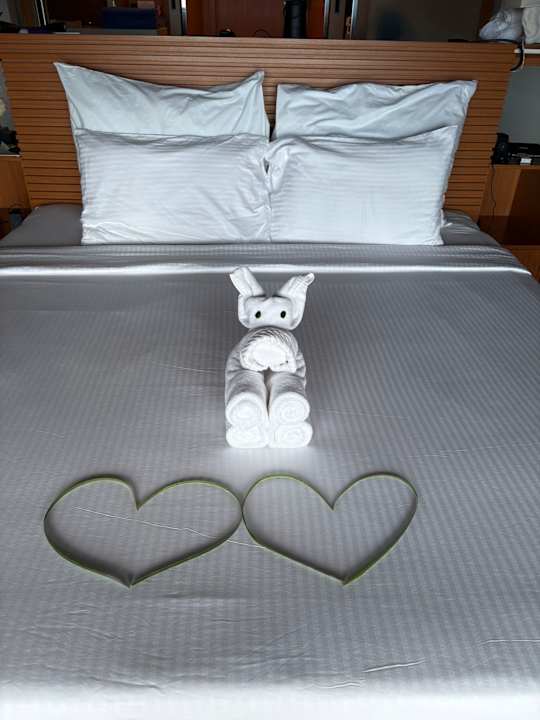 Zimmer Cinnamon Velifushi Maldives