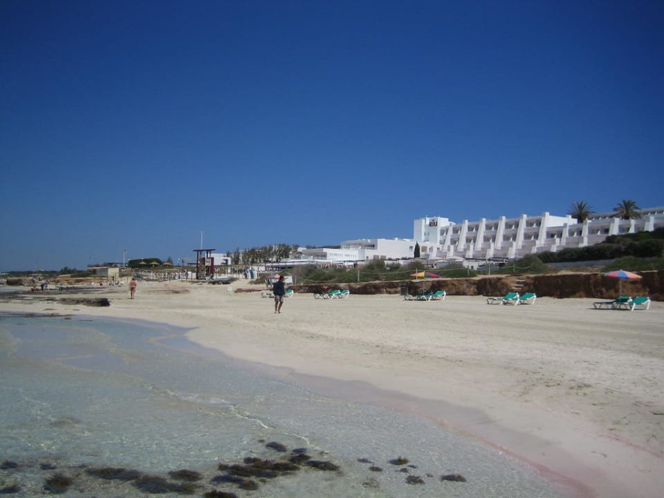 Strand vor dem Hotel Hotel Riu Palace La Mola