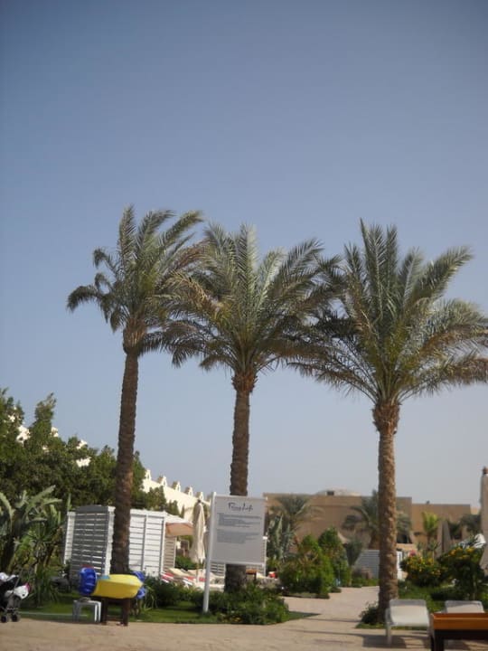 Plamy Prima Life Makadi Resort