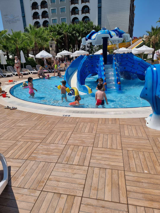 Sport & Freizeit Dizalya Palm Garden