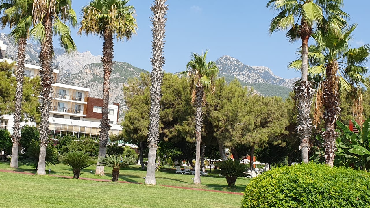 Gartenanlage TUI MAGIC LIFE Beldibi +16