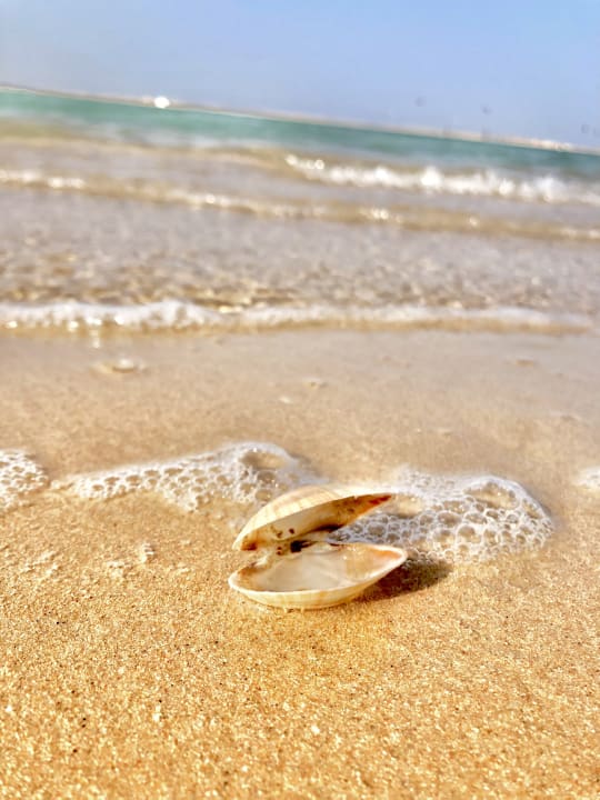 Strand Palm Royale Resort - Soma Bay