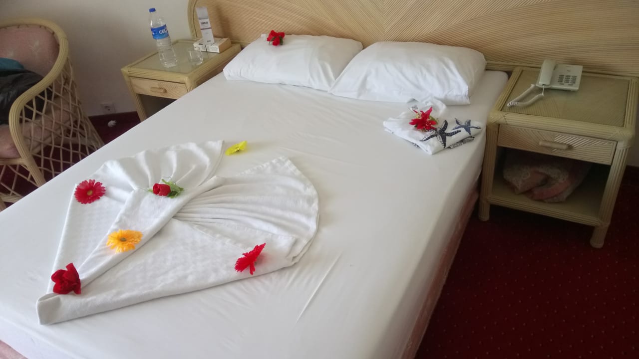 Zimmer Aska Hotel Just in Beach