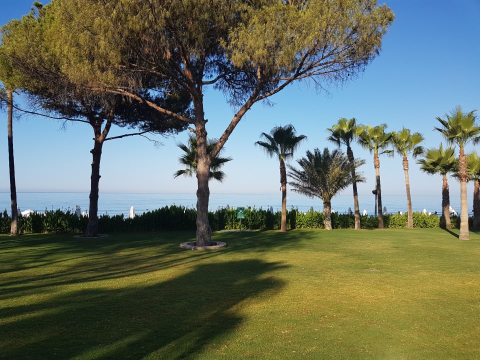 Gartenanlage Acanthus Cennet Barut Collection