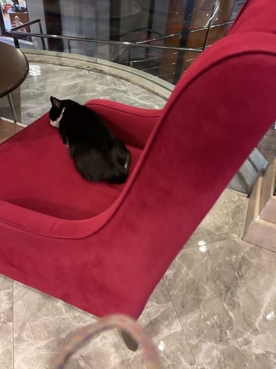 Lobby Limak Limra Hotel & Resort