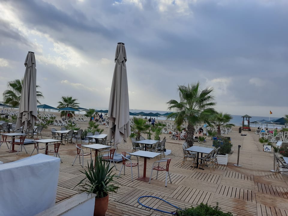 Strand Paloma Oceana