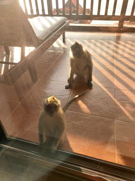 Zimmer Berjaya Langkawi Resort