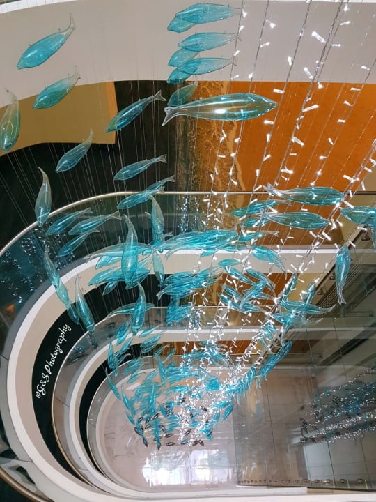 Sonstiges Sentido Marea