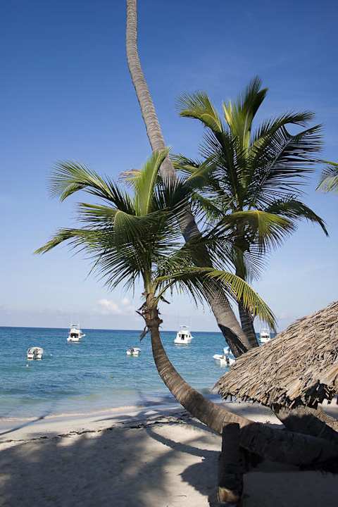 Strand TRS Turquesa Hotel - Adults only