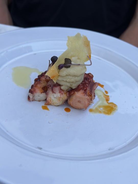 Gastro Acanthus Cennet Barut Collection