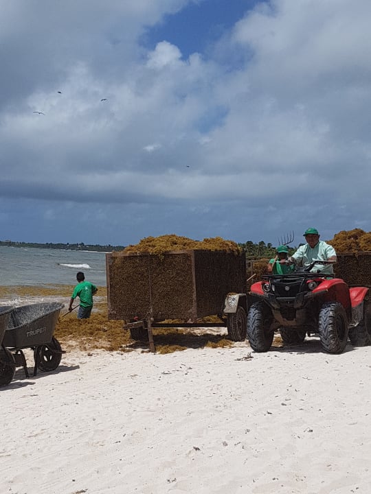 Strand Akumal Bay Beach & Wellness Resort