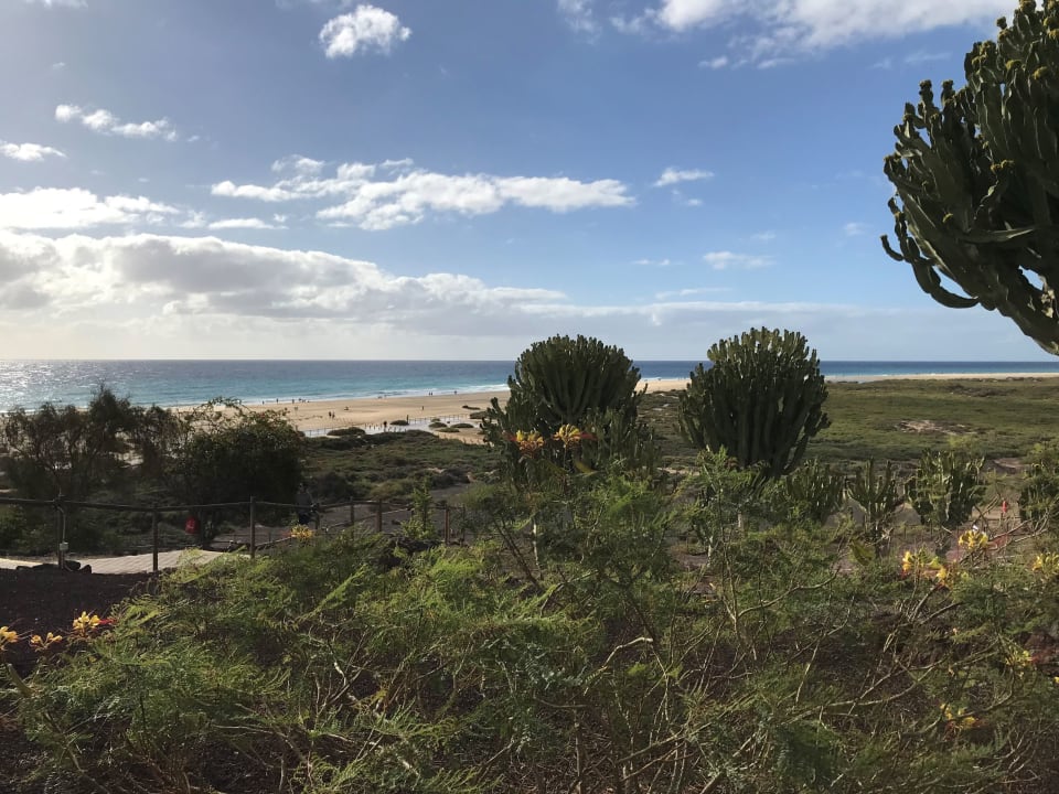 Ausblick Iberostar Selection Fuerteventura Palace