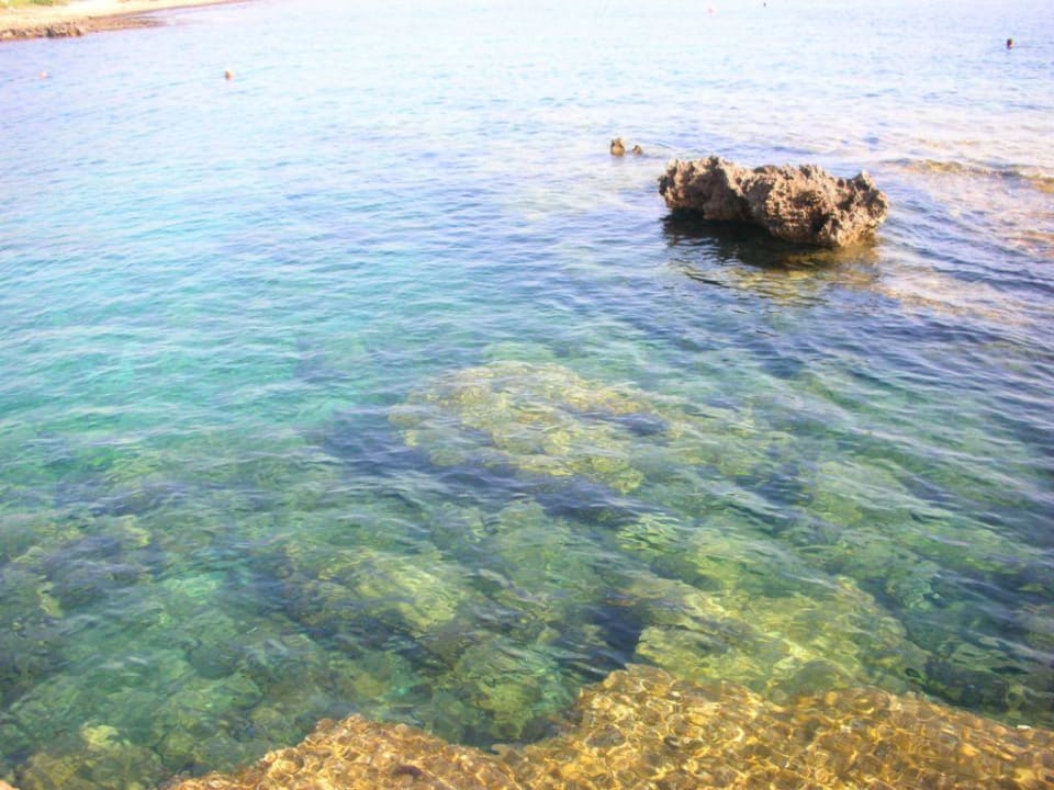 super Wasserqualität Crystal Springs Beach Hotel