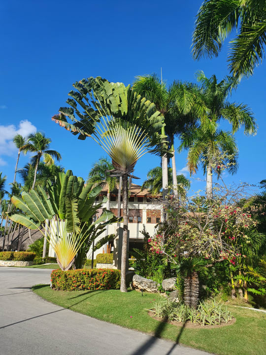 Gartenanlage Hotel Grand Palladium Palace Resort, Spa & Casino