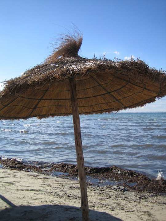 Schirm am Strand Hotel Rosa Beach