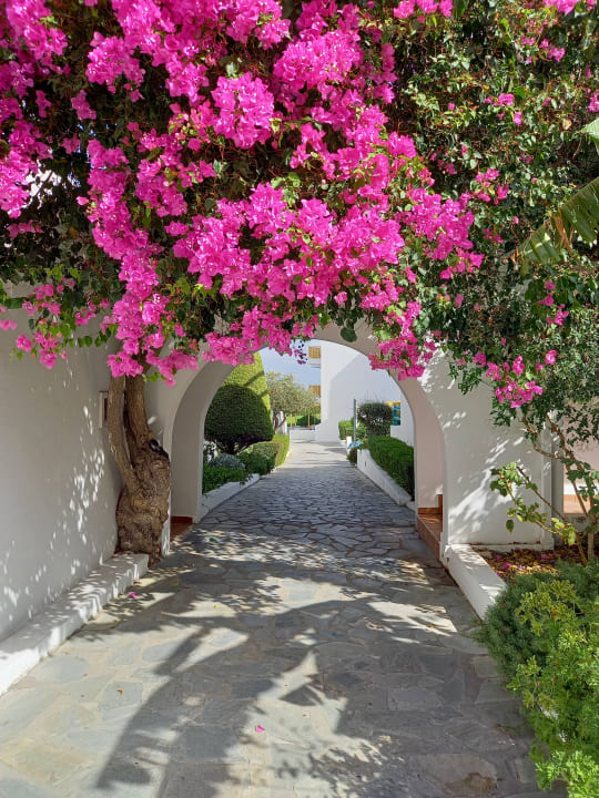 Gartenanlage Mastichari Bay Hotel