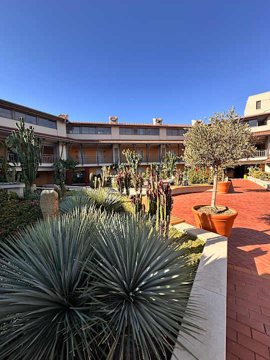 Gartenanlage Arum Barut Collection