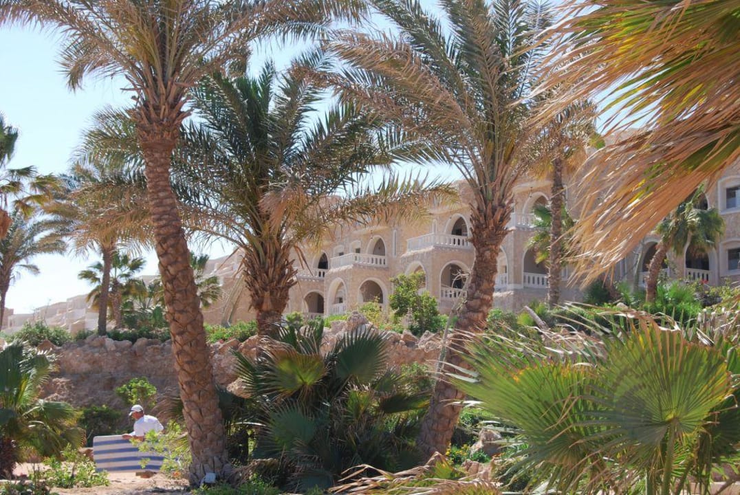 5 Sterne Hotel Pickalbatros Citadel Resort