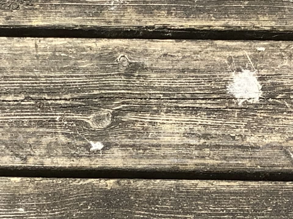 Sonstiges Dancenter Ferienhäuser