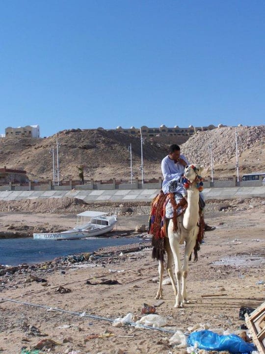 Za zdí hotelu SUNRISE Holidays Resort (Adults Only)