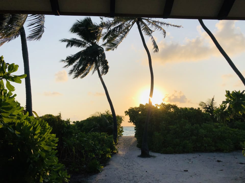 Zimmer NH Collection Maldives Havodda Resort