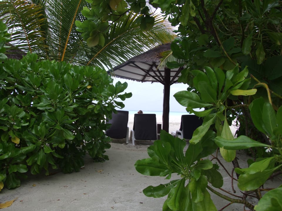 Strandliegen Cinnamon Hakuraa Huraa Maldives