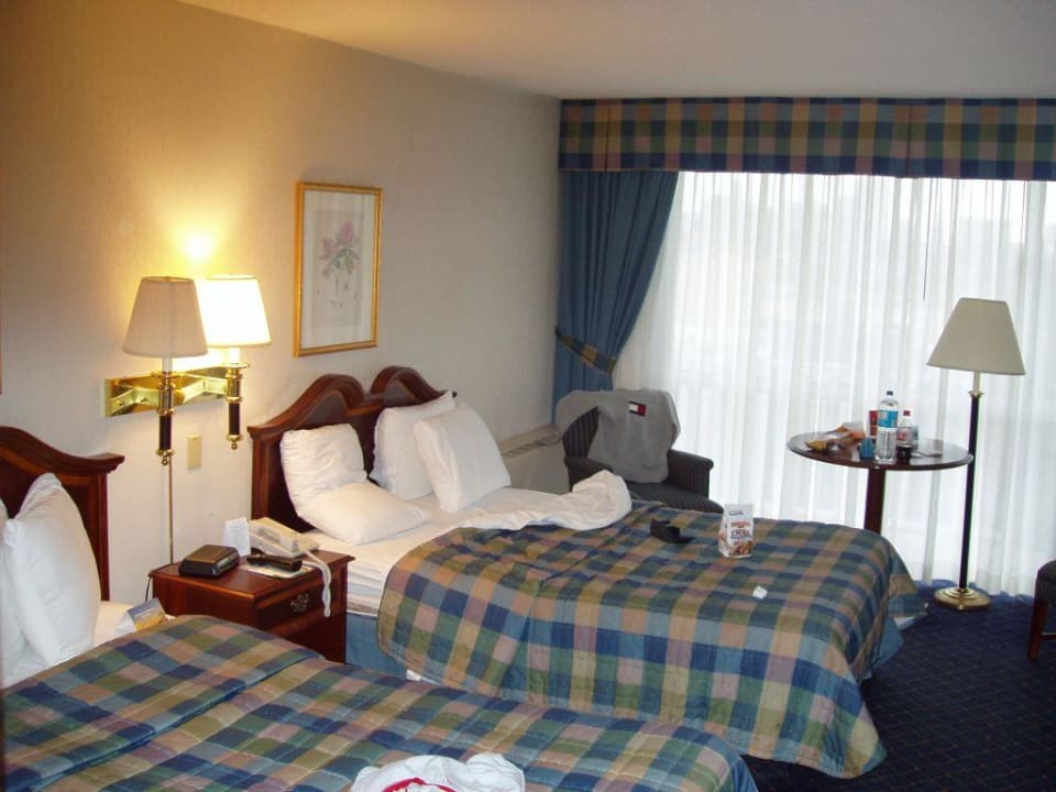 Holiday Inn Buffalo Hotel Holiday Inn Downtown