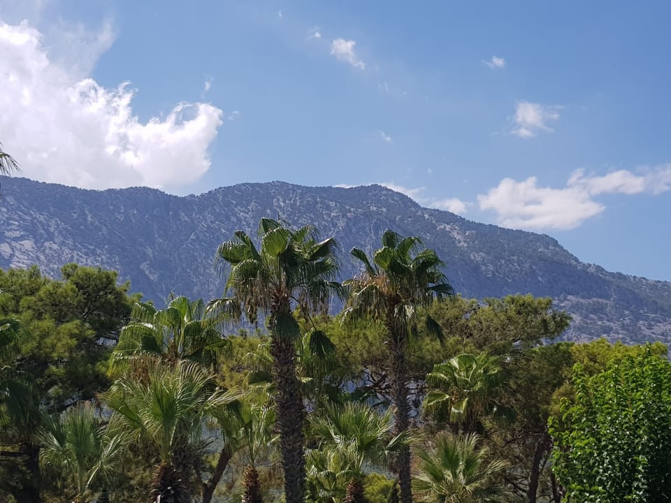 Ausblick Balmy Foresta