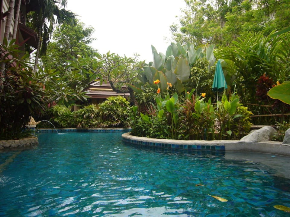 Pool vor den Access Zimmern Kata Palm Resort & Spa