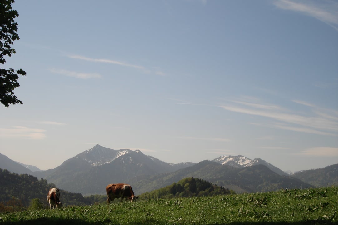 Sonstiges Moar am Hof