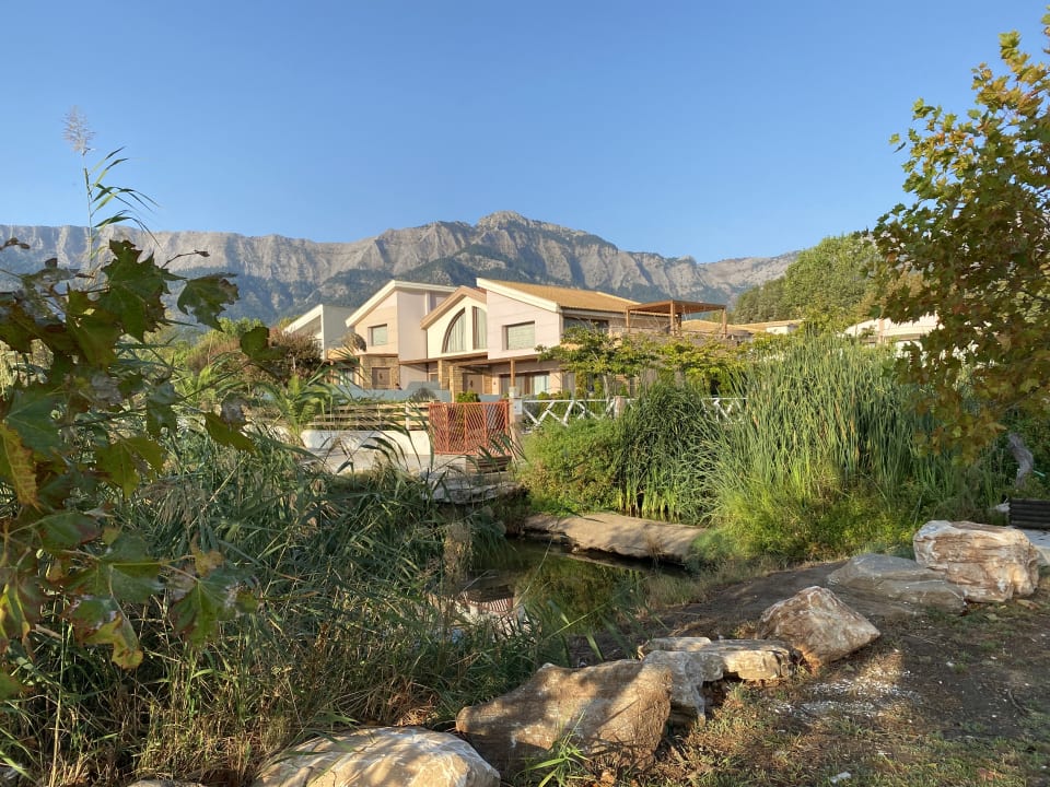 Gartenanlage Alexandra Golden Boutique - Adults only