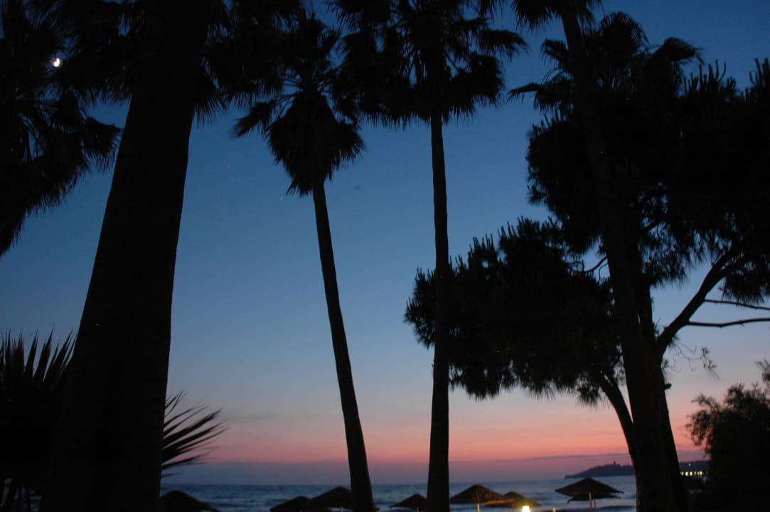 Palmy o zachodzie słońca Ephesia Holiday Beach Club