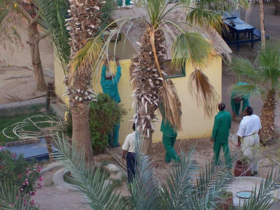Alles nur Baustelle Giftun Azur Resort