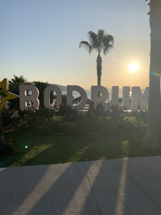 Gartenanlage TUI MAGIC LIFE Bodrum - Adult Only (16+)