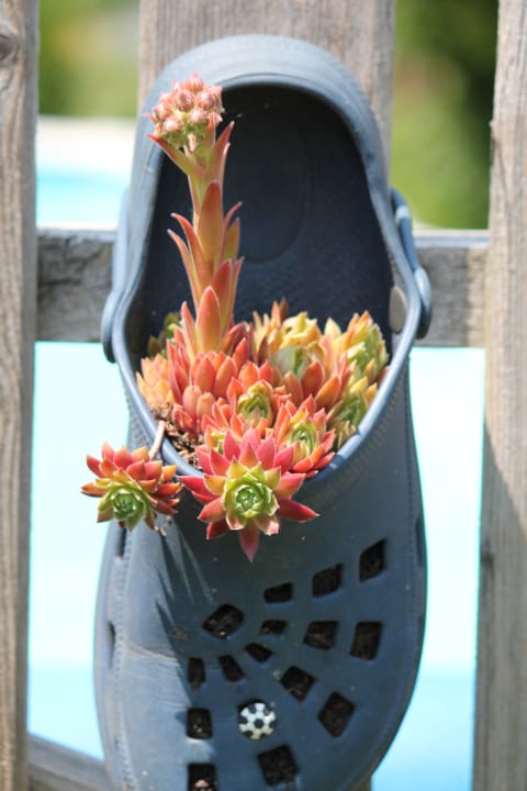 Gartenanlage Gästehaus Fidelis