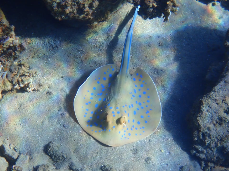 Strand Three Corners Equinox Beach Resort