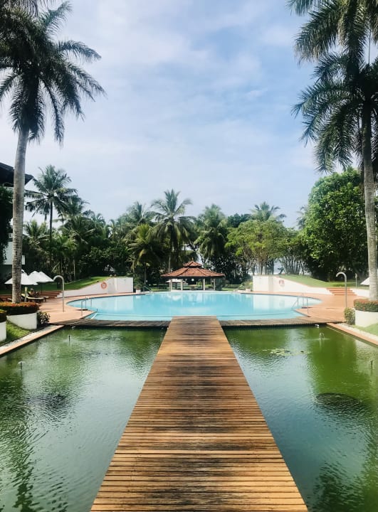 Pool Hotel Lanka Princess Ayurveda