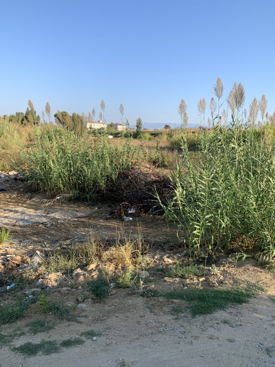 Garten Adora Calma Beach Hotel