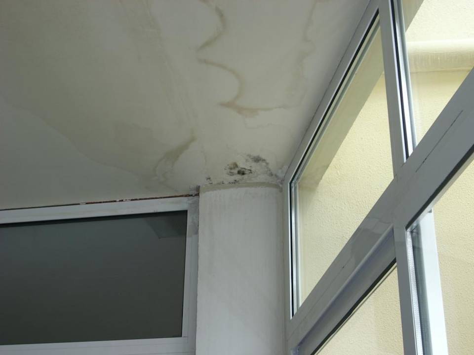 Schimmel und Risse Sun Palace