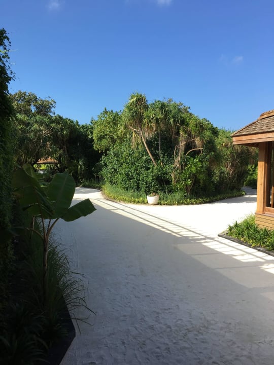 Blick aus Bar/Büffet Restaurant Hurawalhi Island Resort Maldives