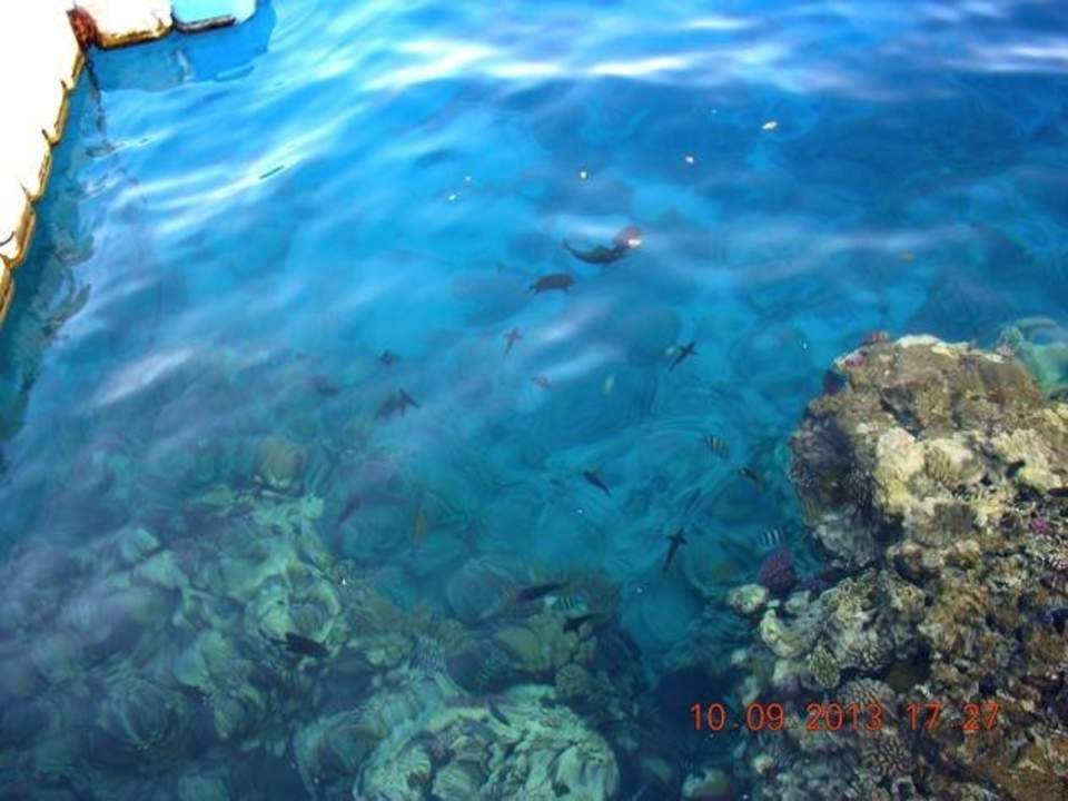 Rafa przy molo Hotel El Faraana Reef Resort