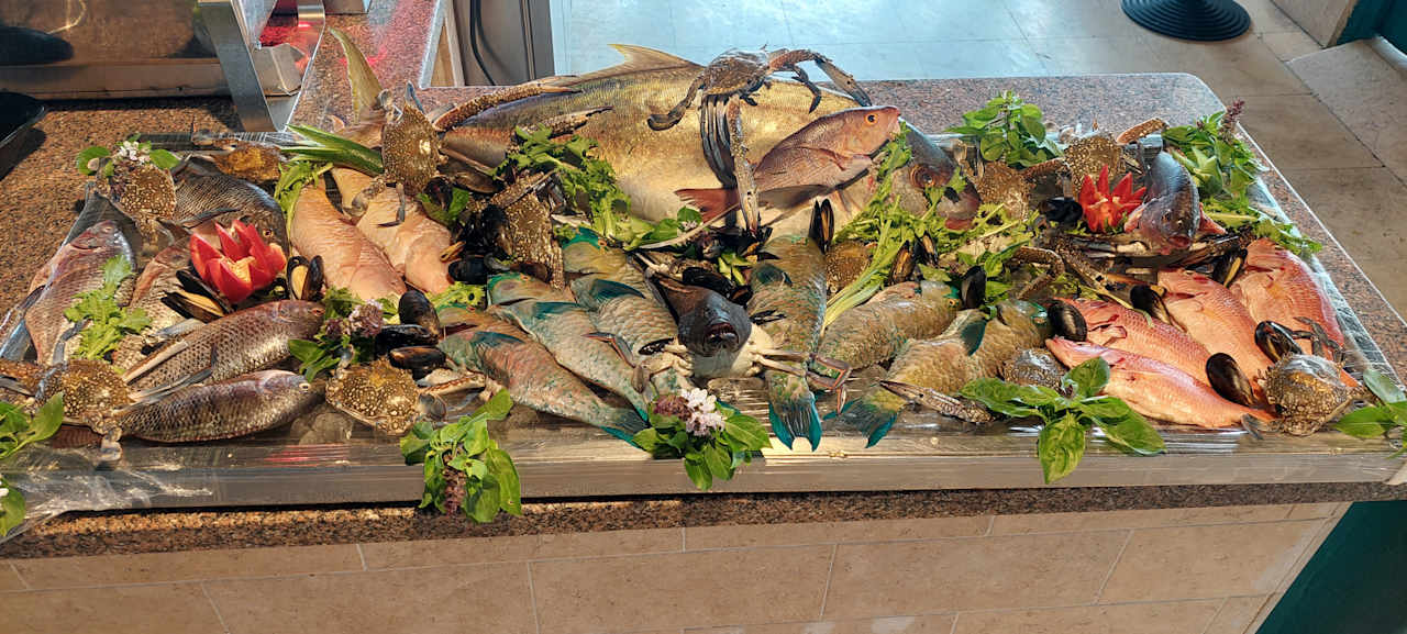 Gastro Club Paradisio El Gouna, Red Sea