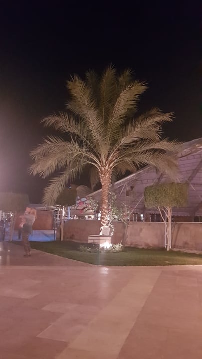 Sonstiges SUNRISE Royal Makadi Resort