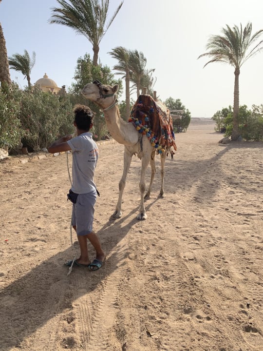Strand Fort Arabesque Resort, Spa & Villas