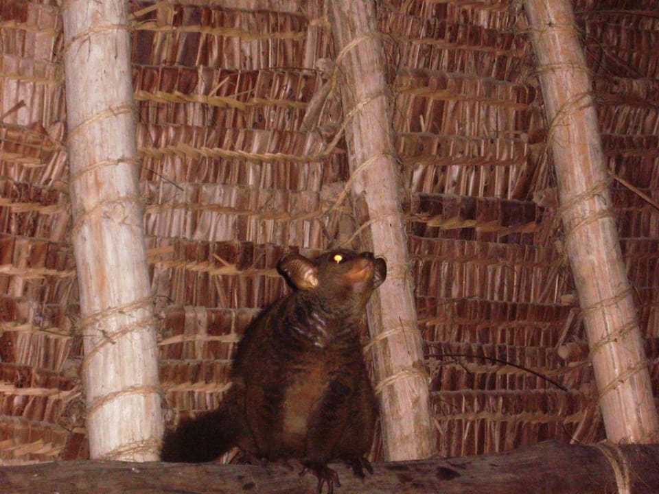 5°° Uhr vor der Abreise Hotel Papillon Lagoon Reef