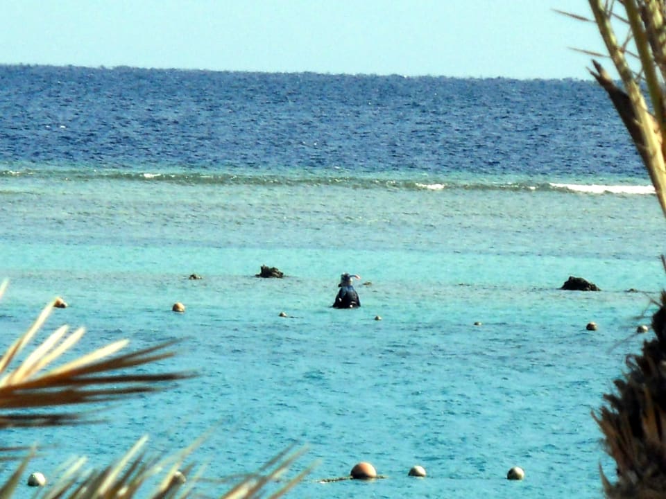 Strand LABRANDA Club Makadi
