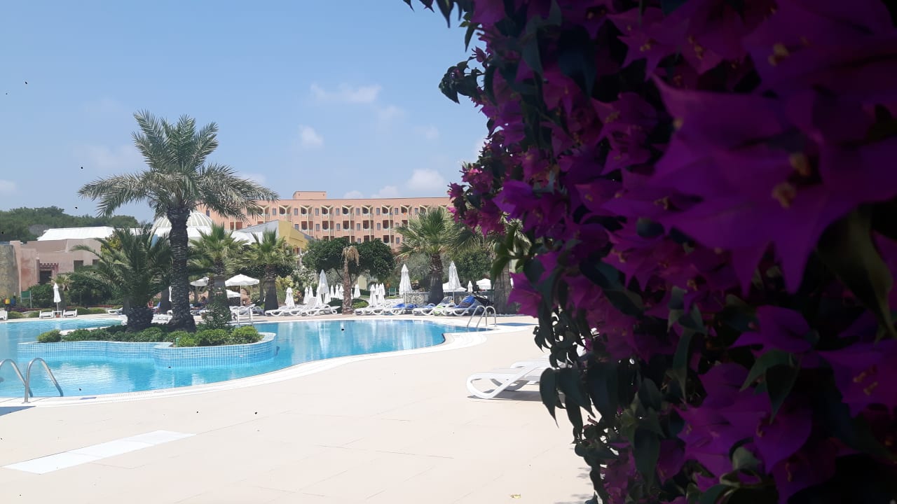 Pool Blue Waters Club